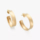 Bold Hoops