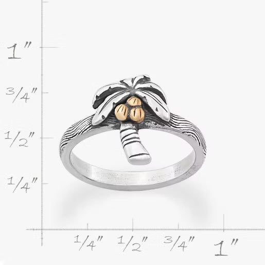 Tropical Palm Tree Ring