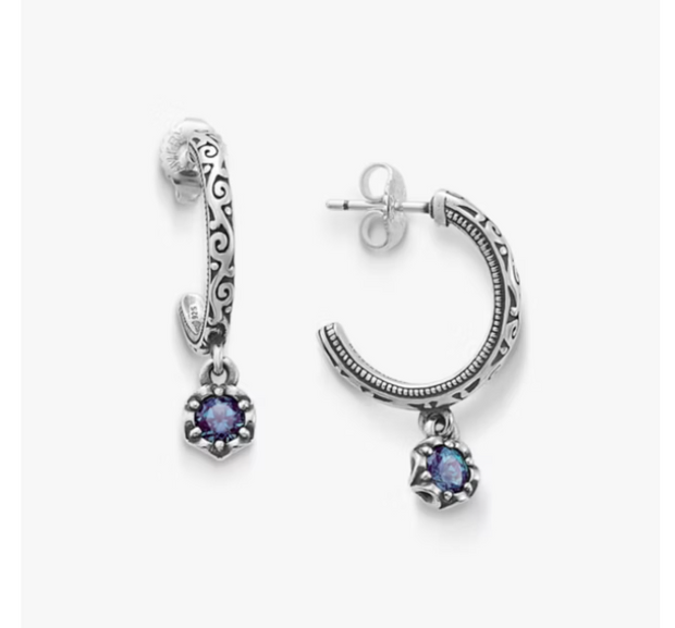 Cherished Birthstone Hoop Dangle Earrings