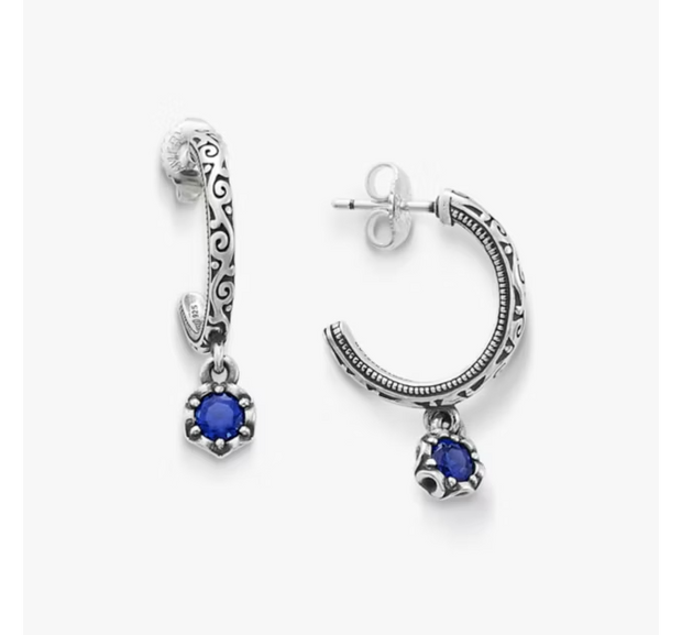 Cherished Birthstone Hoop Dangle Earrings